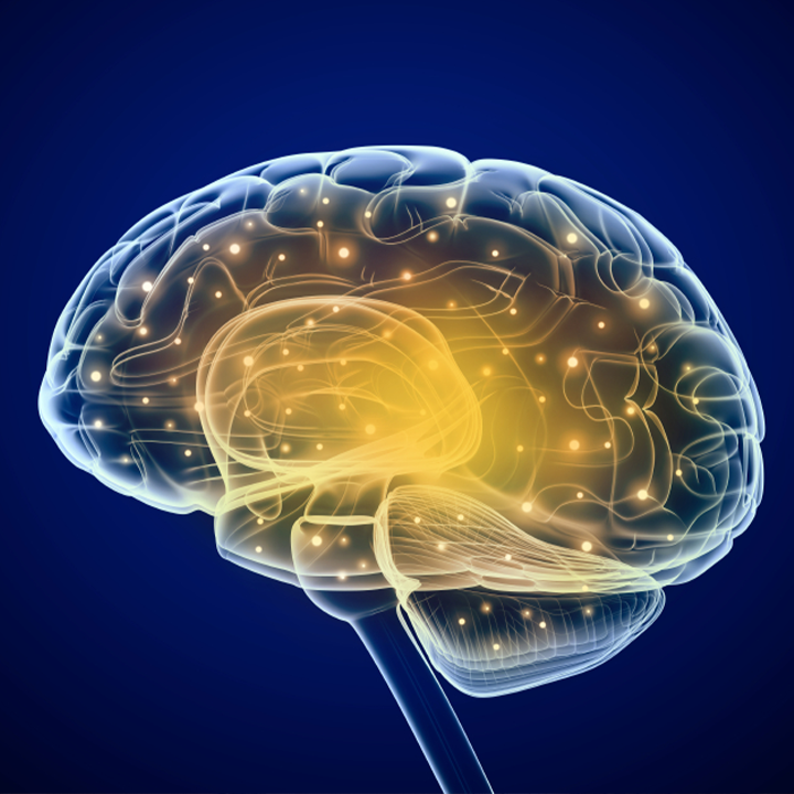 estrategias del neuromarketing que puedes aplicar en tu campaña estrategias del neuromarketing que puedes aplicar en tu campaña